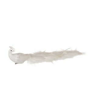 white-feather-peacork